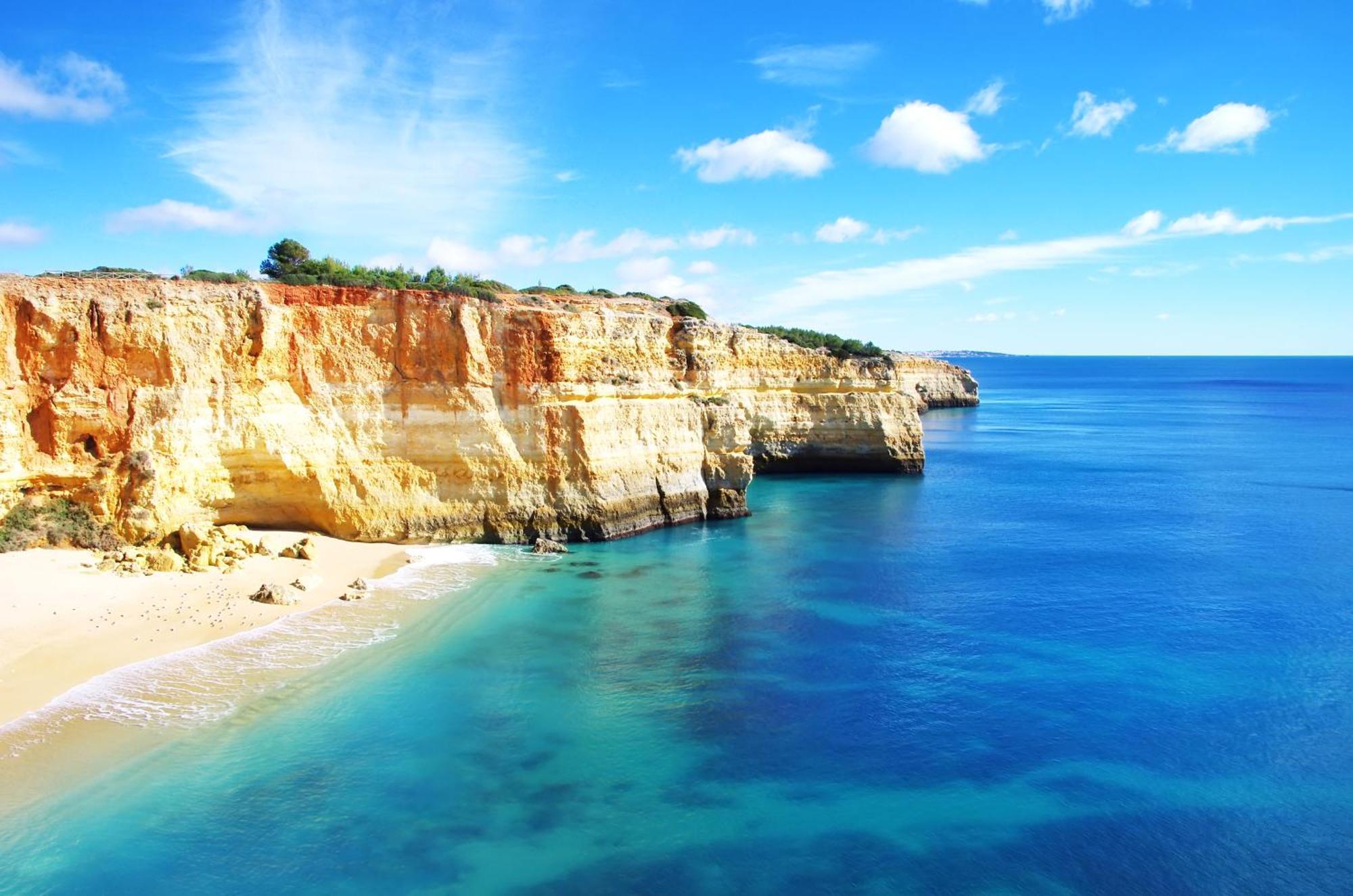 Bnb Homes Praia Da Rocha Beach Bright Apartment 50 M Away From The Ocean 波尔蒂芒 外观 照片